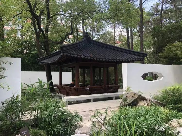 阔别1年,全上海古牡丹最多的公园焕新归来!正式开放时间已定→ 阔别1年,全上海古牡丹最多的公园焕新归来!正式开放时间已定→