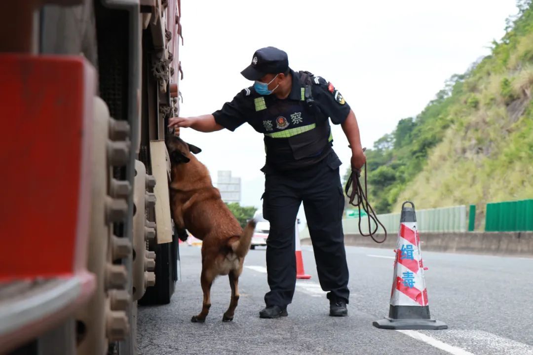 这批“新警”，浑身是毛……