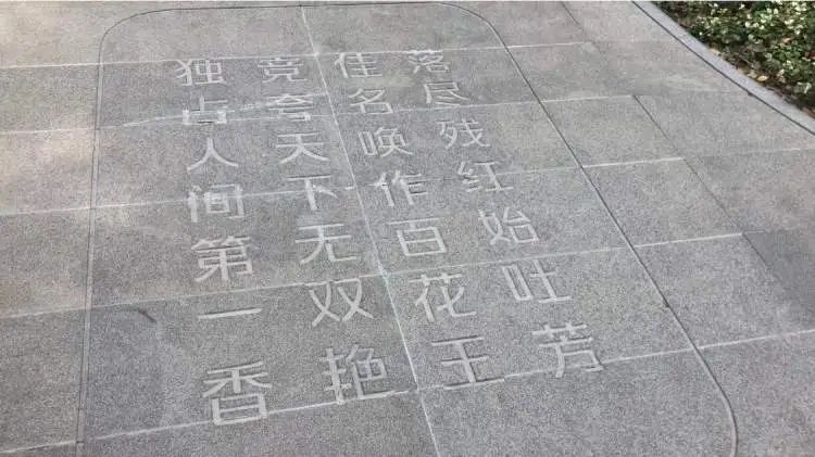 阔别1年,全上海古牡丹最多的公园焕新归来!正式开放时间已定→ 阔别1年,全上海古牡丹最多的公园焕新归来!正式开放时间已定→