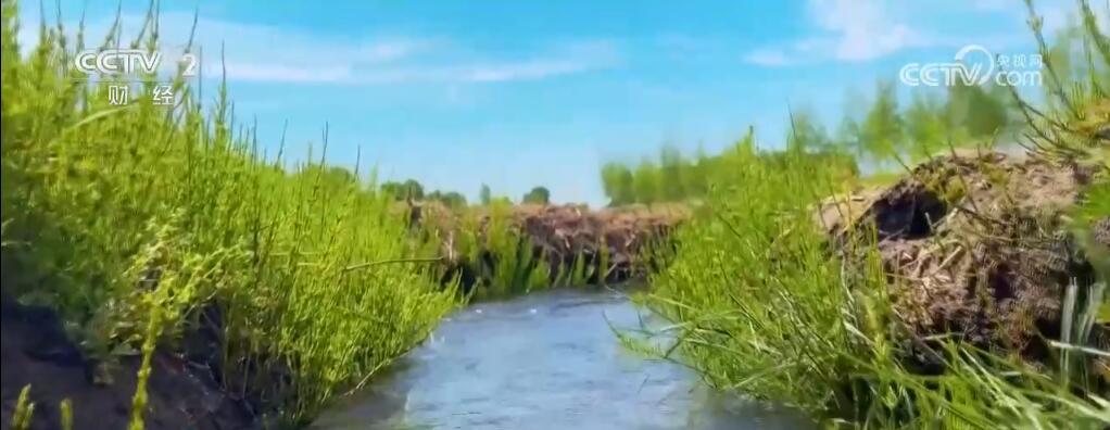 祝贺!2024年世界灌溉工程遗产名录公布 中国四个工程榜上有名 祝贺!2024年世界灌溉工程遗产名录公布 中国四个工程榜上有名