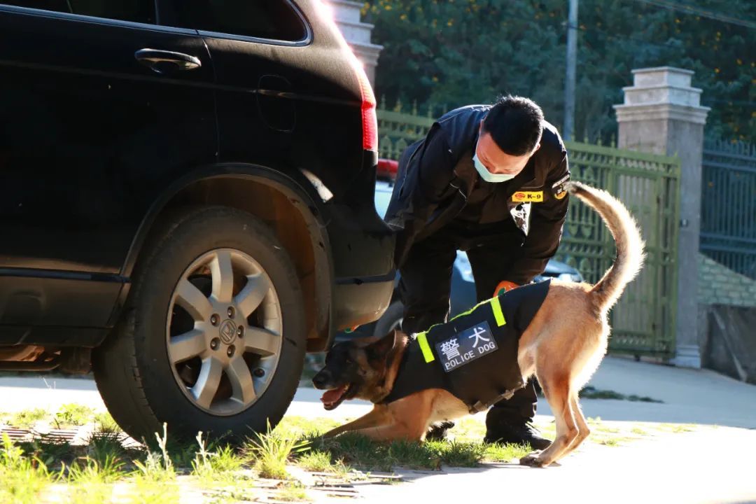 这批“新警”，浑身是毛……