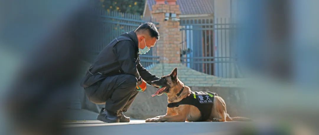 这批“新警”，浑身是毛……