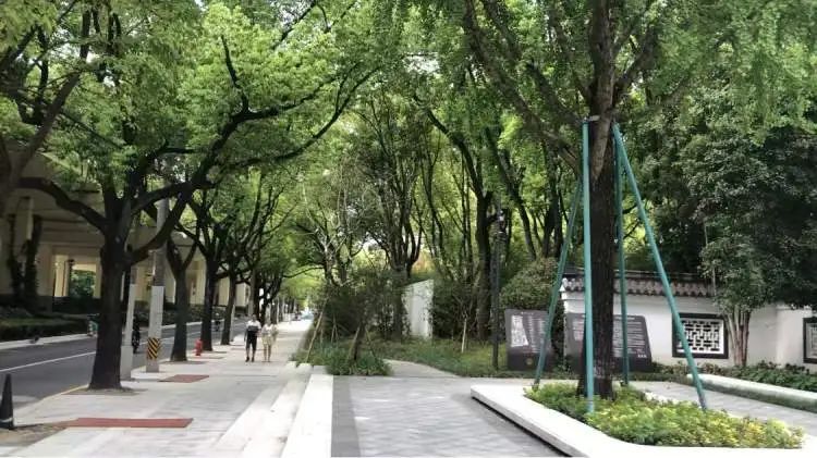 阔别1年,全上海古牡丹最多的公园焕新归来!正式开放时间已定→ 阔别1年,全上海古牡丹最多的公园焕新归来!正式开放时间已定→