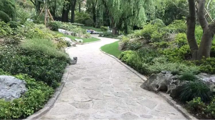 阔别1年,全上海古牡丹最多的公园焕新归来!正式开放时间已定→ 阔别1年,全上海古牡丹最多的公园焕新归来!正式开放时间已定→