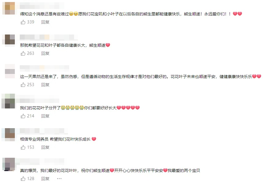 热点｜花花和叶子，要分开了