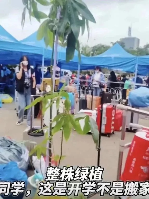 “搬家式”返校！大学生的行李箱：能装下什么取决于想装什么