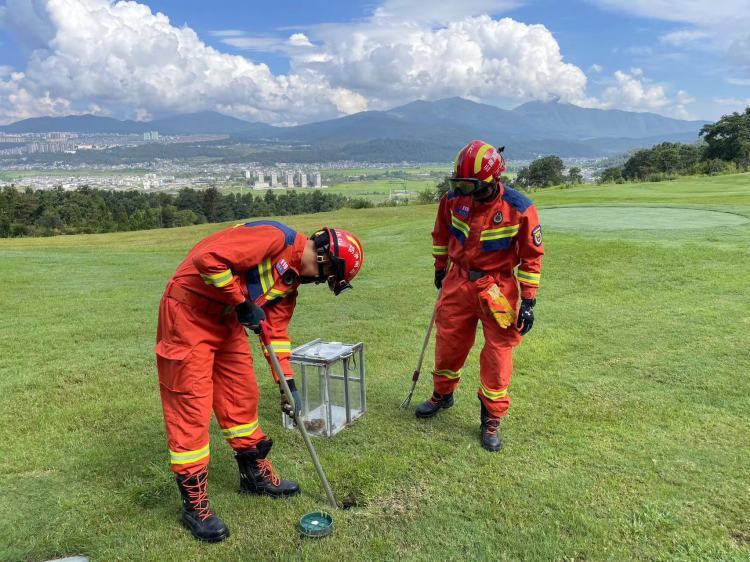 云南腾冲一高尔夫球场发现一窝“烙铁头”毒蛇,已安全转移 云南腾冲一高尔夫球场发现一窝“烙铁头”毒蛇,已安全转移