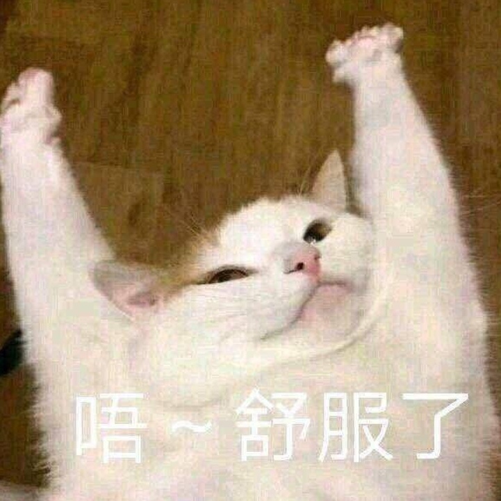 上海人今天感动，40天来最凉快！但明天...台风“摩羯”也“没用”