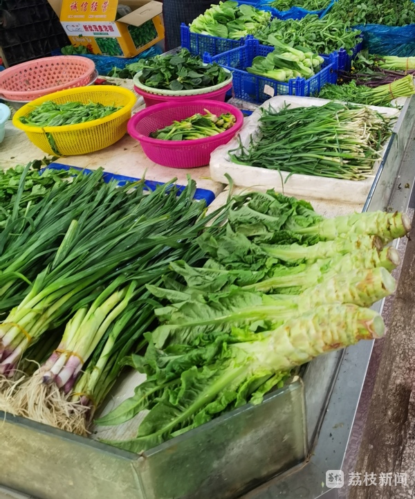 8月份各地蔬菜价格涨幅明显 后续已出现缓慢回落的价格走势 8月份各地蔬菜价格涨幅明显 后续已出现缓慢回落的价格走势