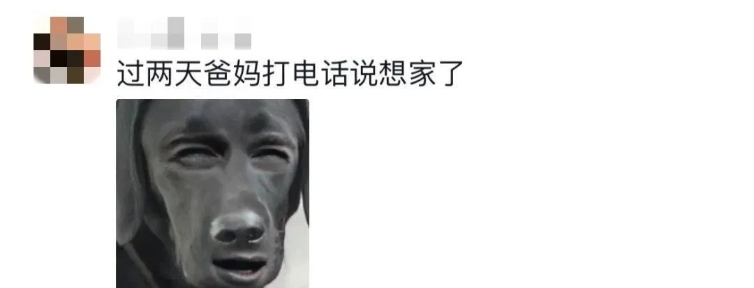 “搬家式”返校！大学生的行李箱：能装下什么取决于想装什么