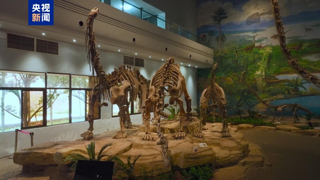 世界级名录,四川+1! 世界级名录,四川+1!