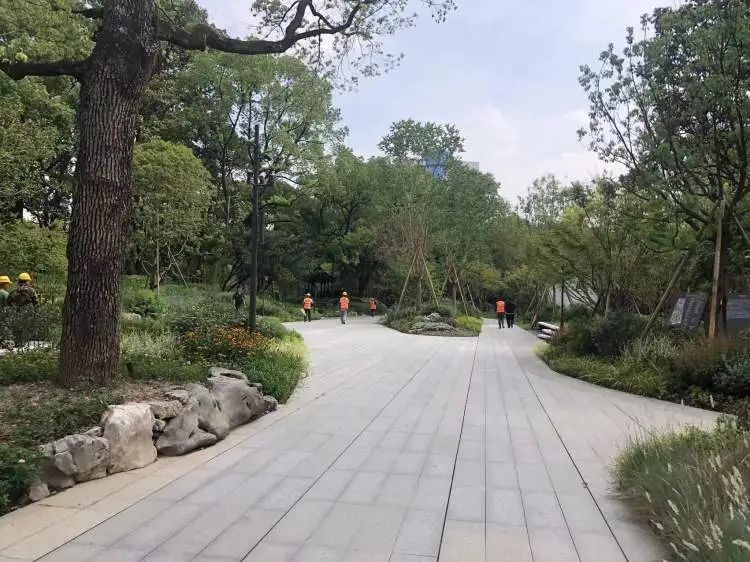 阔别1年,全上海古牡丹最多的公园焕新归来!正式开放时间已定→ 阔别1年,全上海古牡丹最多的公园焕新归来!正式开放时间已定→