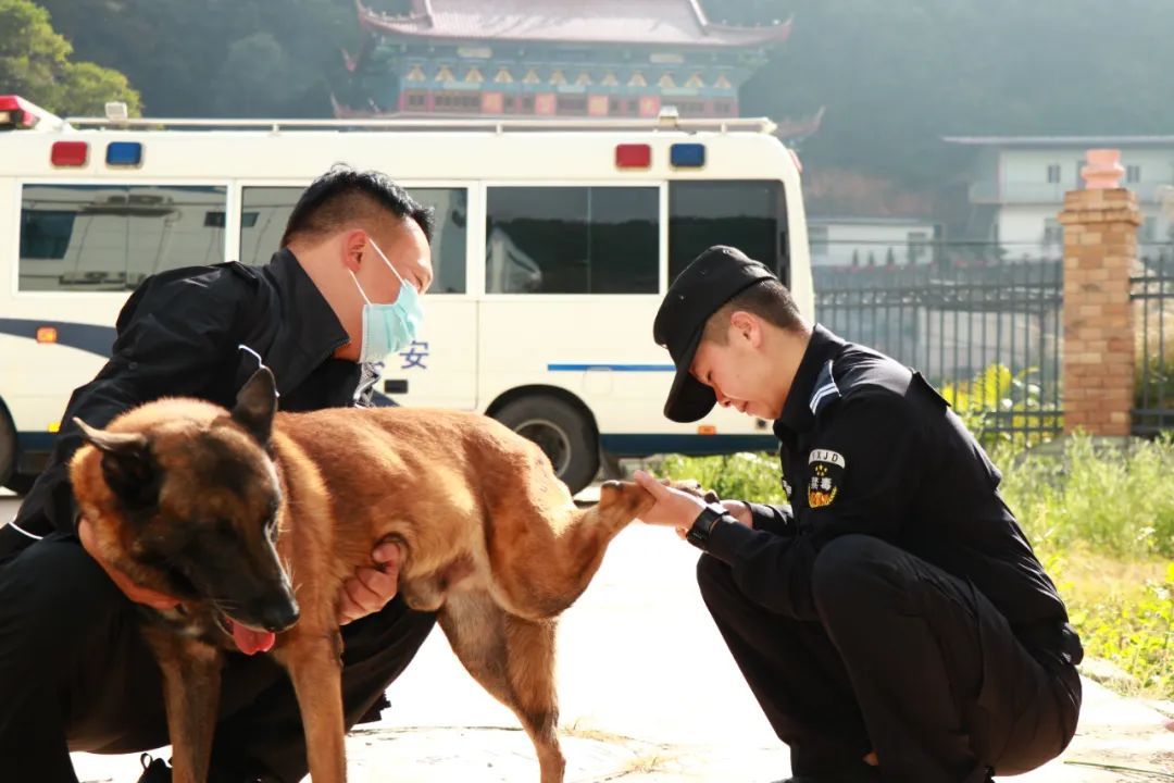 这批“新警”，浑身是毛……