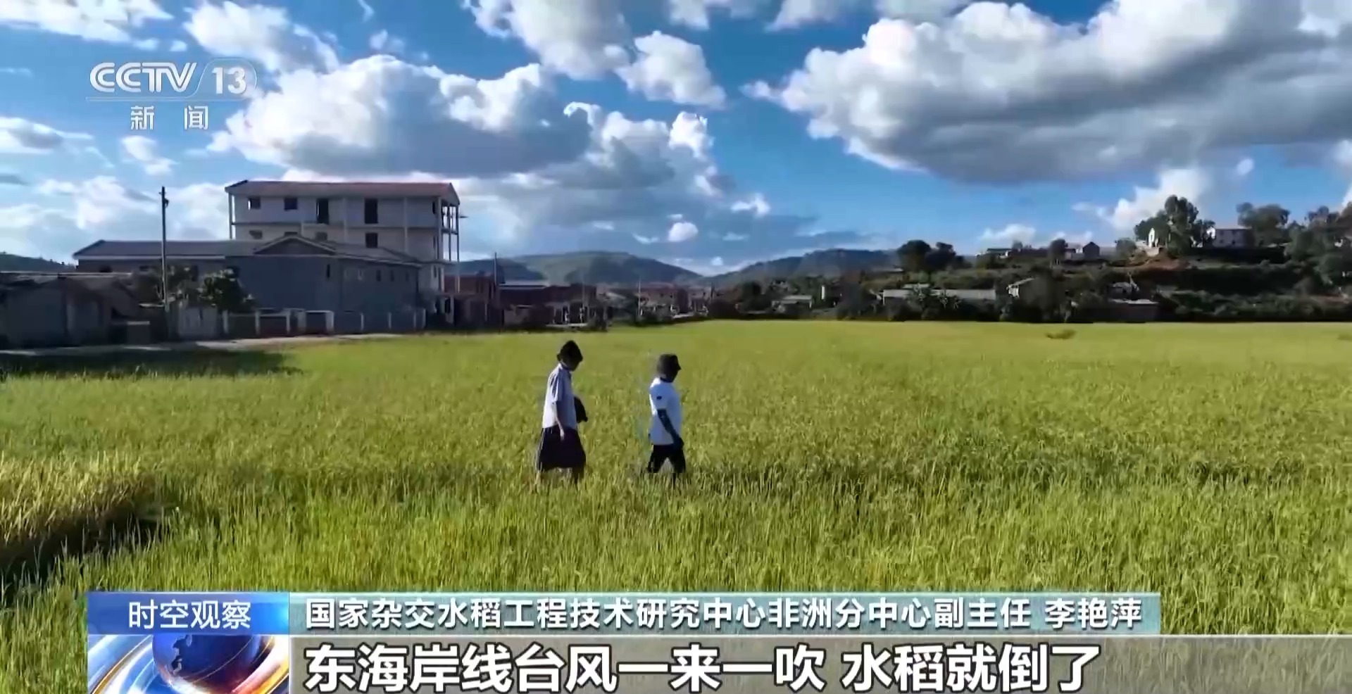 致敬！袁隆平墓前有一碗非洲农民的大米