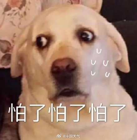 台风摩羯或以超强台风登陆我国，雷州半岛或承接最强风雨