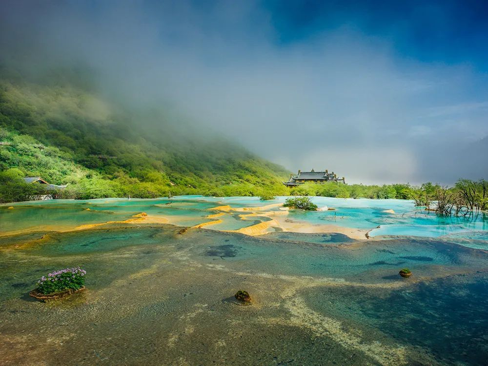 “一对母女因高反死于景区门口”?利欲熏心!立案调查→ “一对母女因高反死于景区门口”?利欲熏心!立案调查→