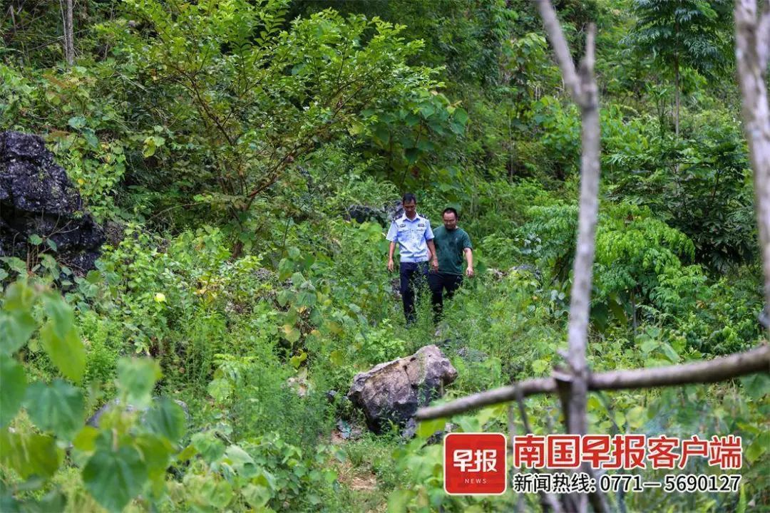 李燮,被评定为烈士! 李燮,被评定为烈士!