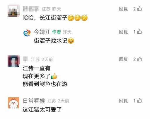 围观！江豚高清大图公布！