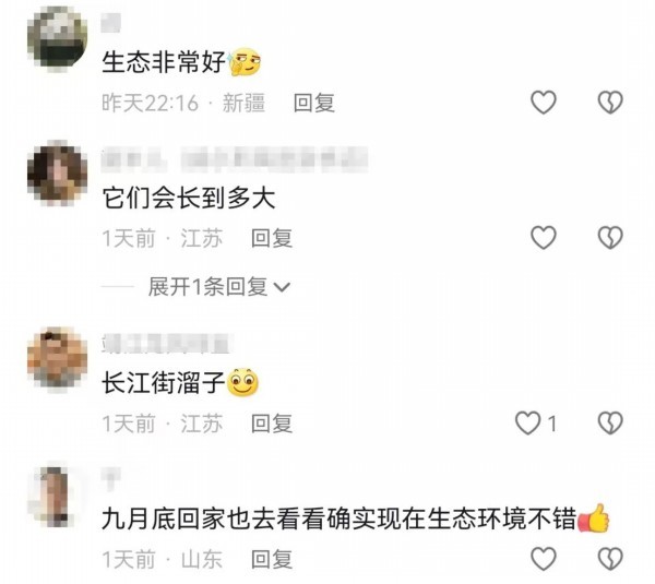 围观！江豚高清大图公布！