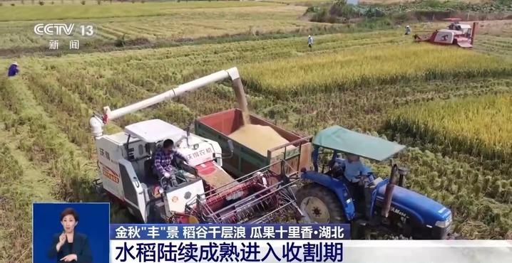 秋月梨、软籽石榴成熟啦！来看甜蜜秋收季