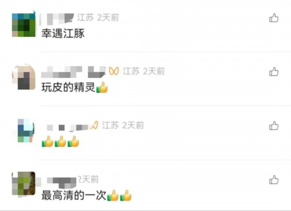 围观！江豚高清大图公布！