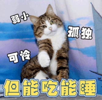 便衣警察不是总摊煎饼，也可能是个骑三轮的……