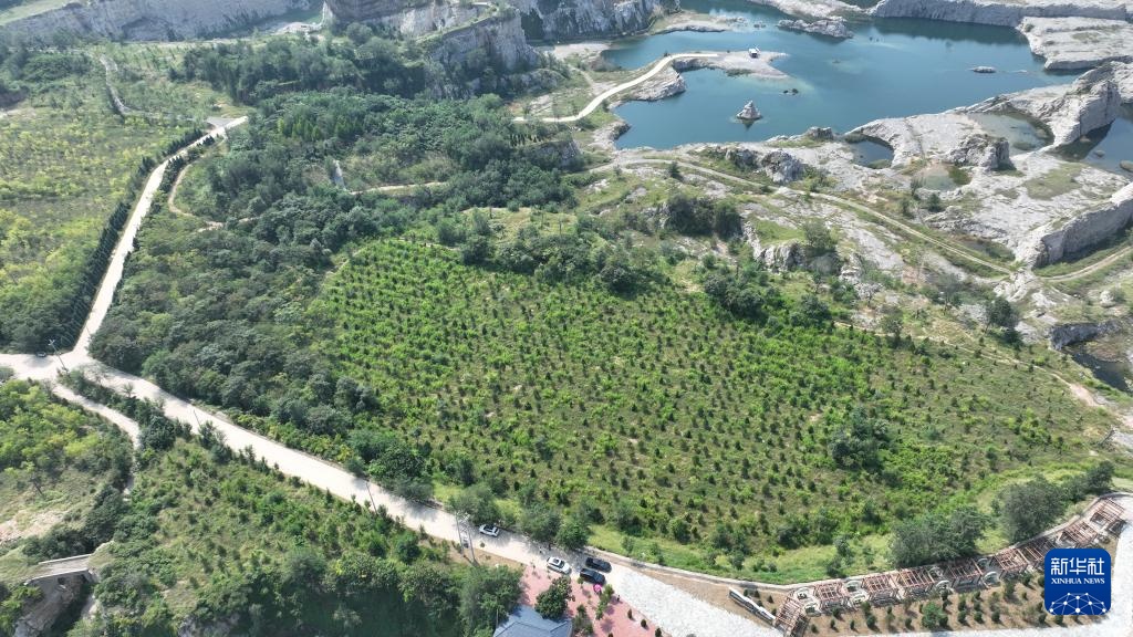 河北隆尧:废弃矿山修复再现绿色生机 河北隆尧:废弃矿山修复再现绿色生机