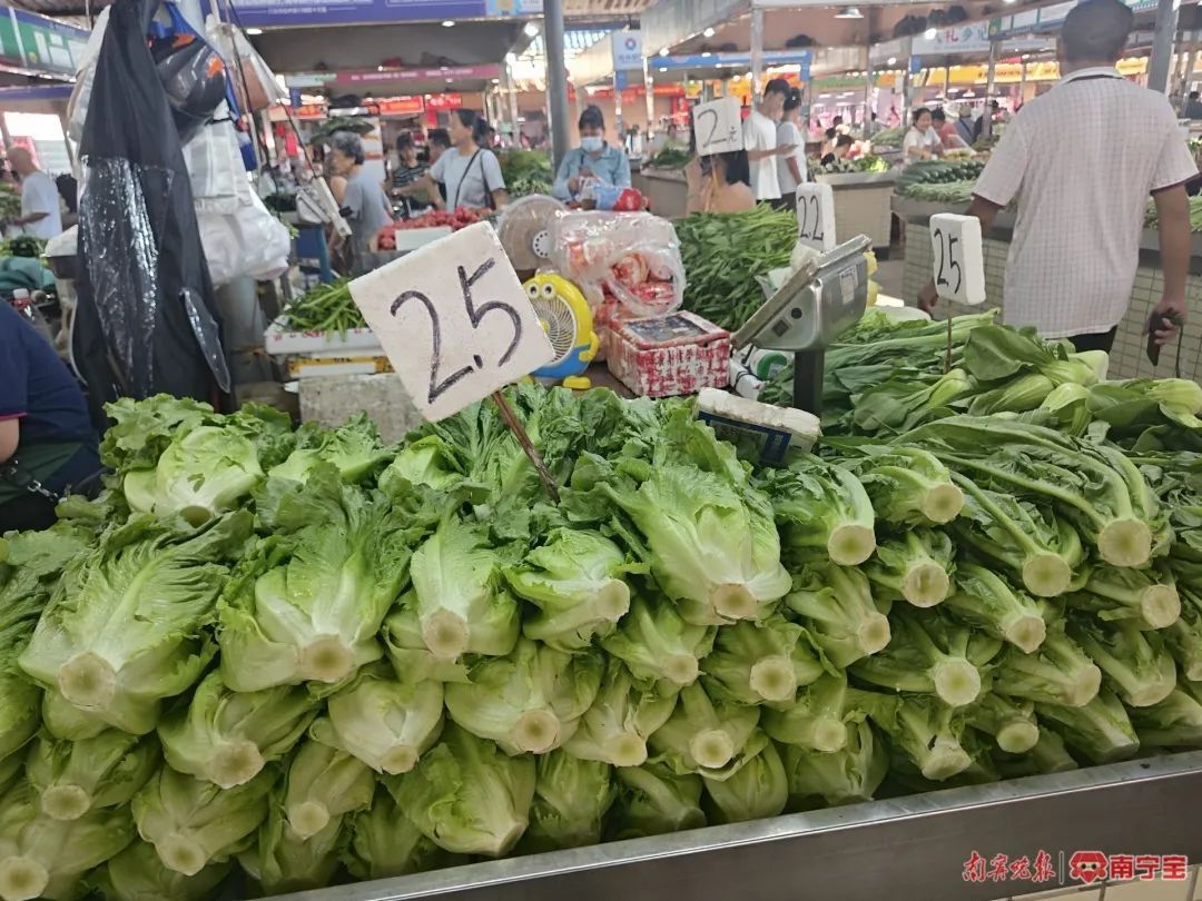 南宁蔬菜价格逐步回落，应季蔬菜陆续上市