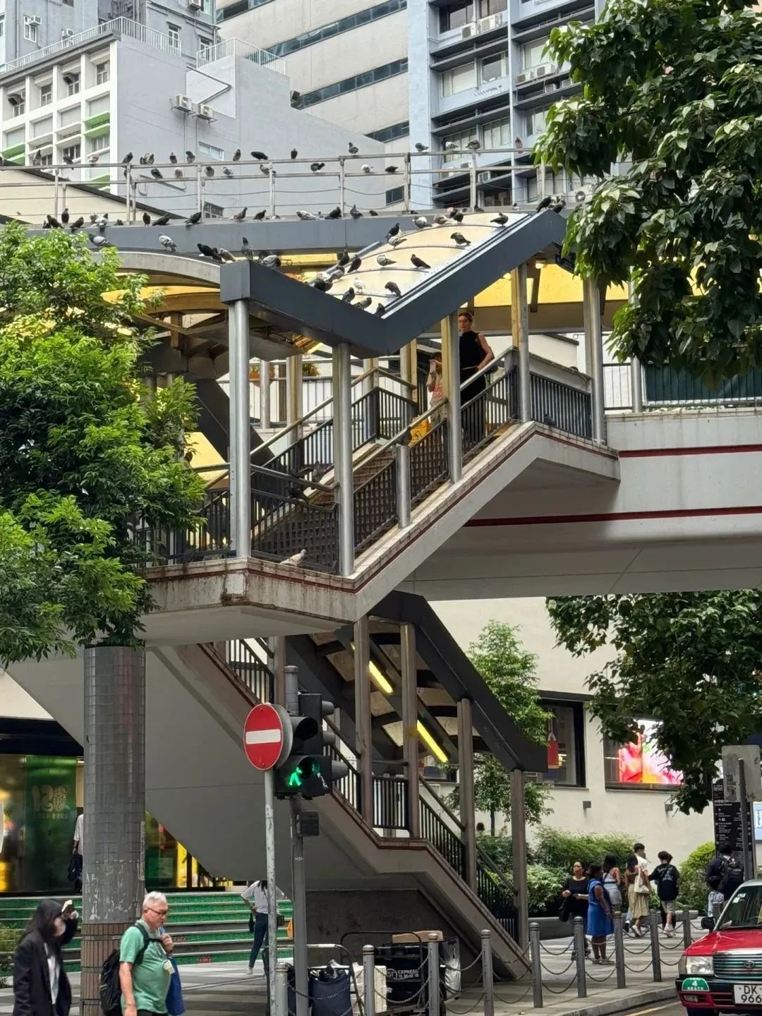 非法投喂野生动物，香港首张罚单开出