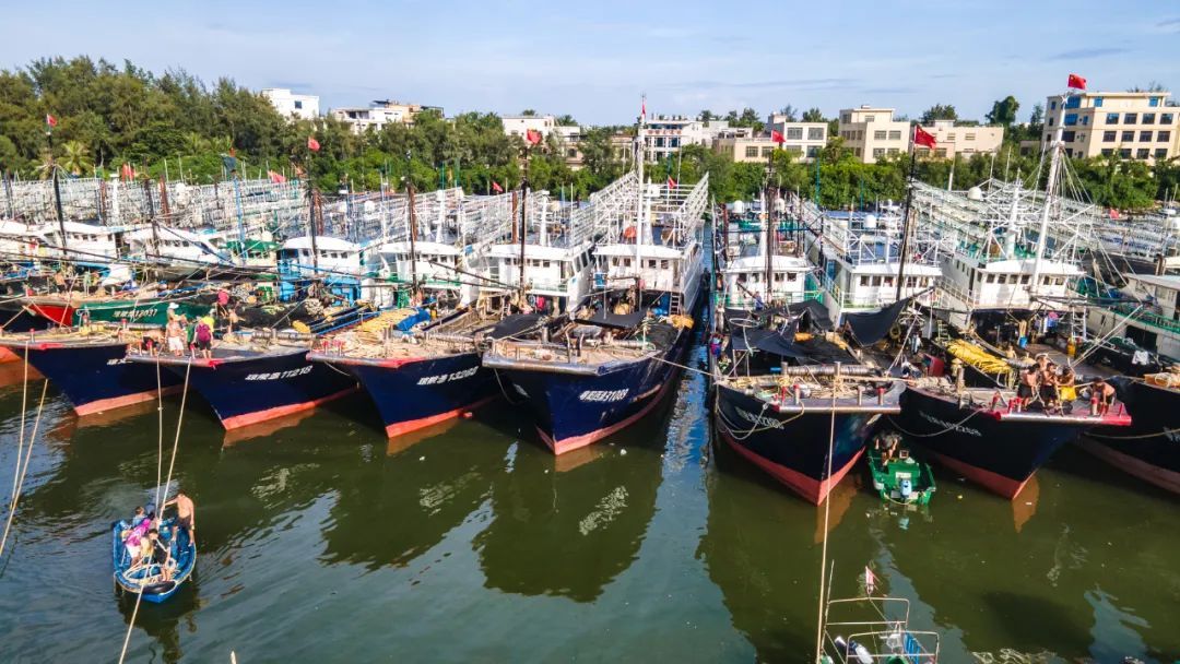 停航、停运！特大暴雨！阵风17级以上！台风“摩羯”靠近，这些地方注意→