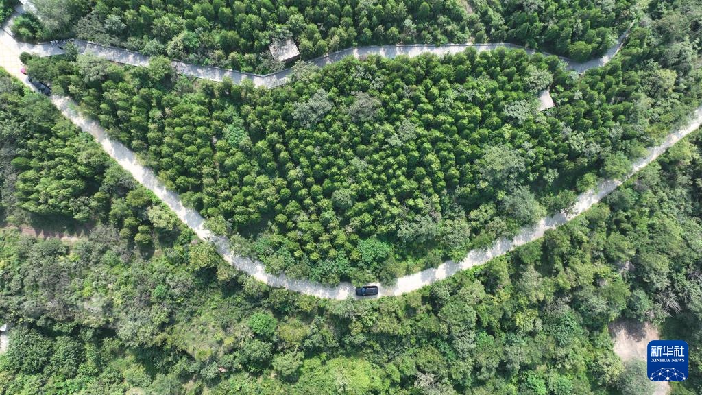 河北隆尧:废弃矿山修复再现绿色生机 河北隆尧:废弃矿山修复再现绿色生机