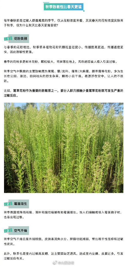 “过敏星人”看过来！做好3件事应对秋季过敏
