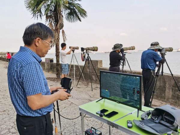 围观！江豚高清大图公布！