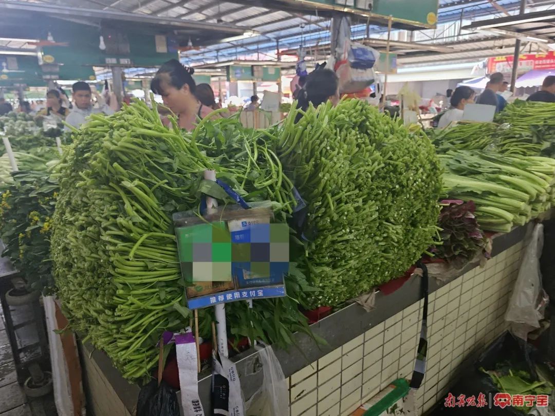 南宁蔬菜价格逐步回落，应季蔬菜陆续上市