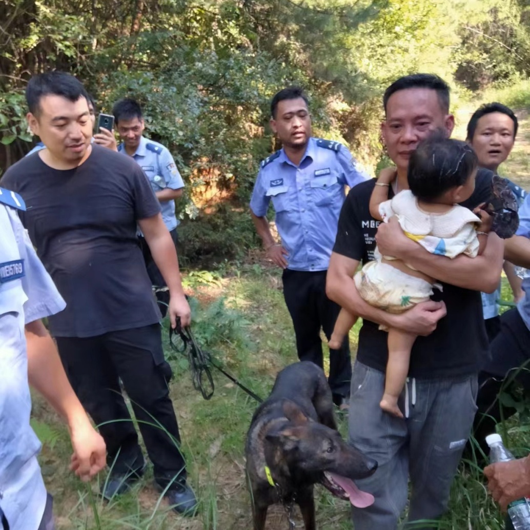 汪汪队又立大功!网友:加鸡腿! 汪汪队又立大功!网友:加鸡腿!