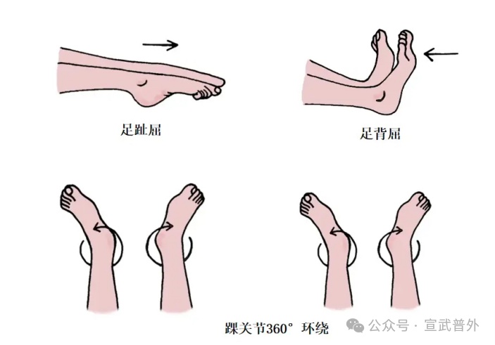 踝泵运动小指南