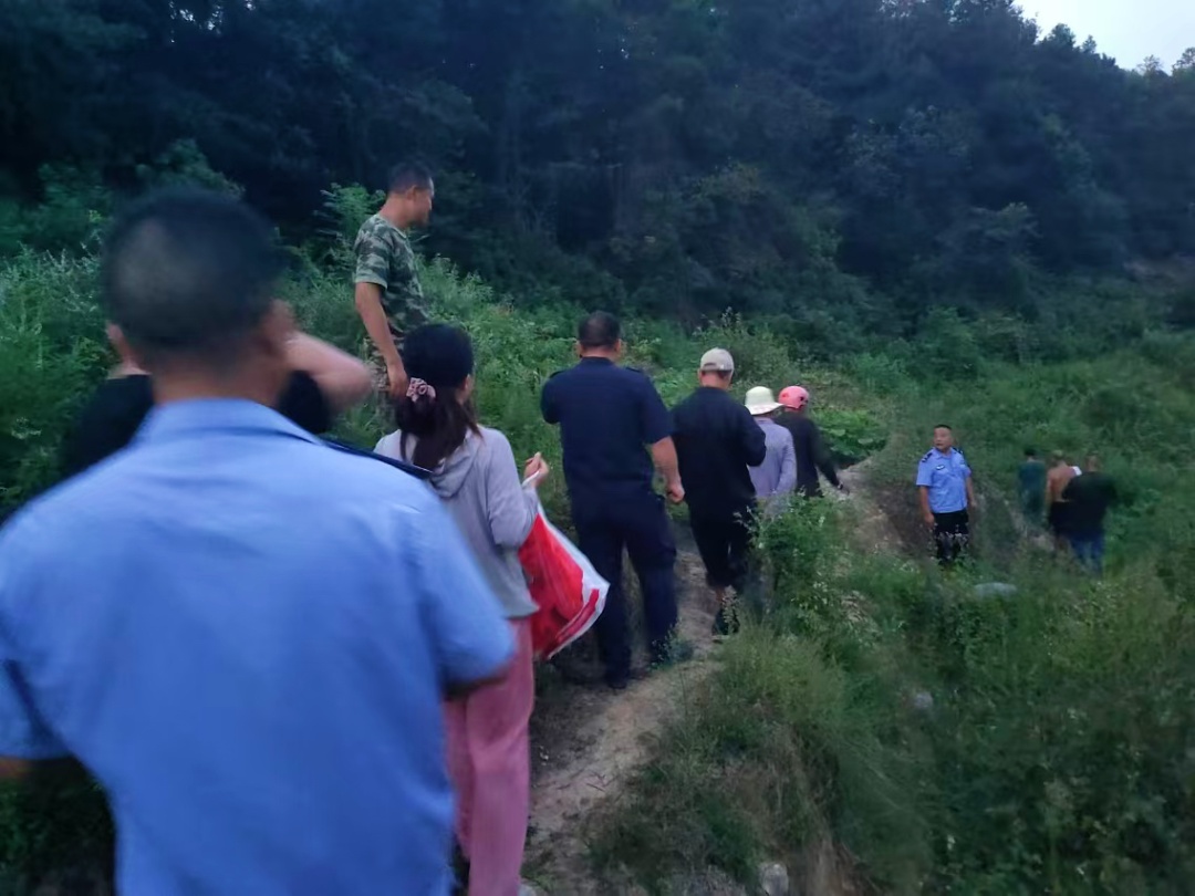 汪汪队又立大功!网友:加鸡腿! 汪汪队又立大功!网友:加鸡腿!