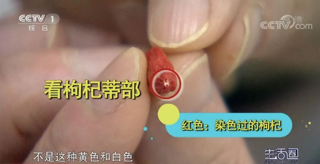 枸杞是秋天的“长寿药”，如果你只拿来泡水喝，那就太浪费了，三步帮你选出好枸杞