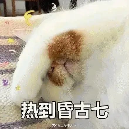 这里突然宣布：推迟到9日上学！上海接下来是什么情况？官方吐槽…