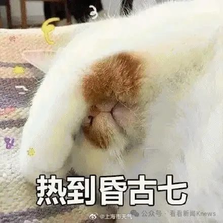 上海第50个高温日！未来10天降温无望...8月电费不正常？有人晒4000元账单