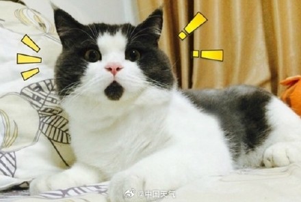 台风“摩羯”登陆强度非常罕见