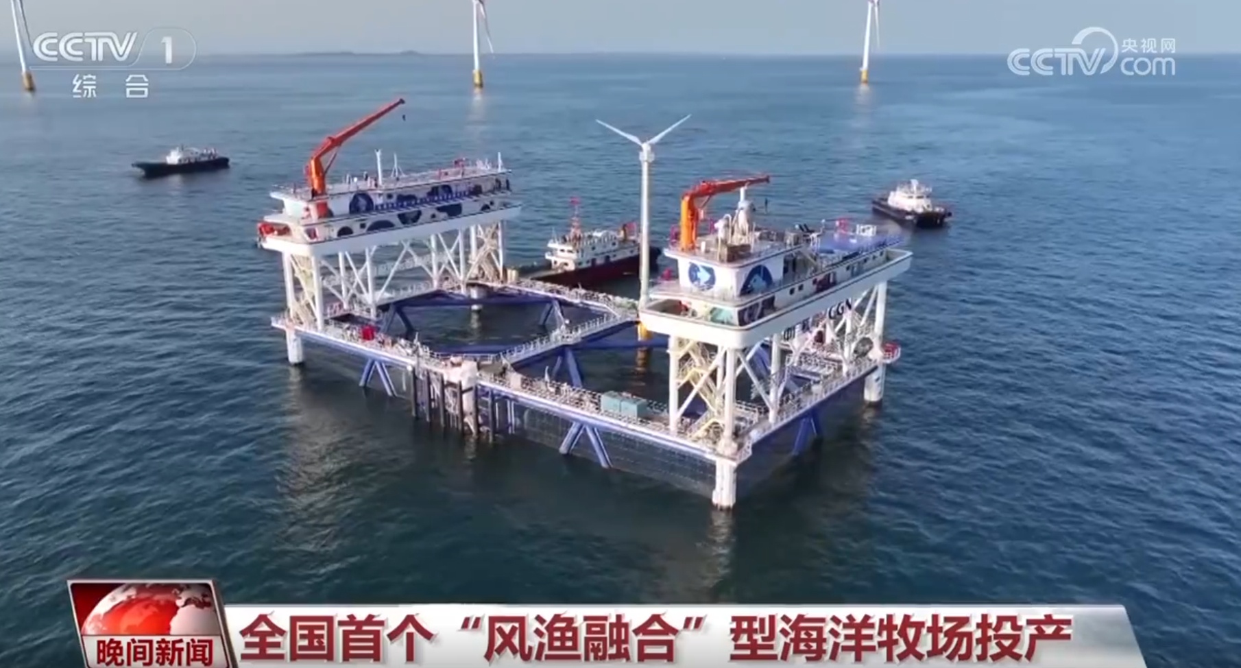 蓝色新动能加持、政策“组合拳”护航 中国激荡“新新”向荣澎湃力量