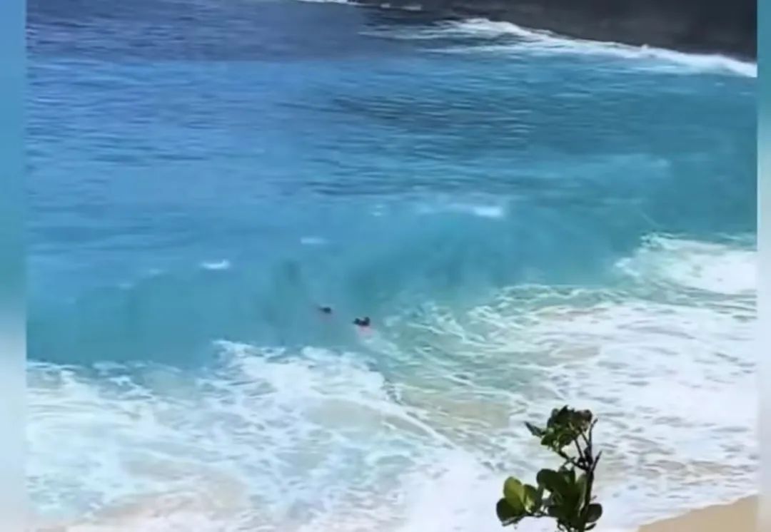 “我只想找到你”,小伙海滩遇险被“海王”救起 “我只想找到你”,小伙海滩遇险被“海王”救起