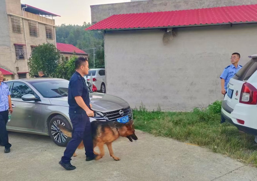 汪汪队又立大功!网友:加鸡腿! 汪汪队又立大功!网友:加鸡腿!