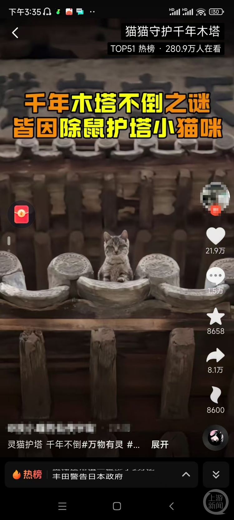 山西应县木塔有一群“猫看护”？管护中心回应