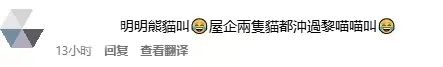 香港的大熊猫宝宝，向你“喊话”