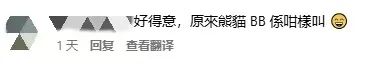 香港的大熊猫宝宝，向你“喊话”
