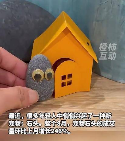 猫狗不香了?这届年轻人开始养宠物石头了!网友:不会吵闹,性价比高 猫狗不香了?这届年轻人开始养宠物石头了!网友:不会吵闹,性价比高
