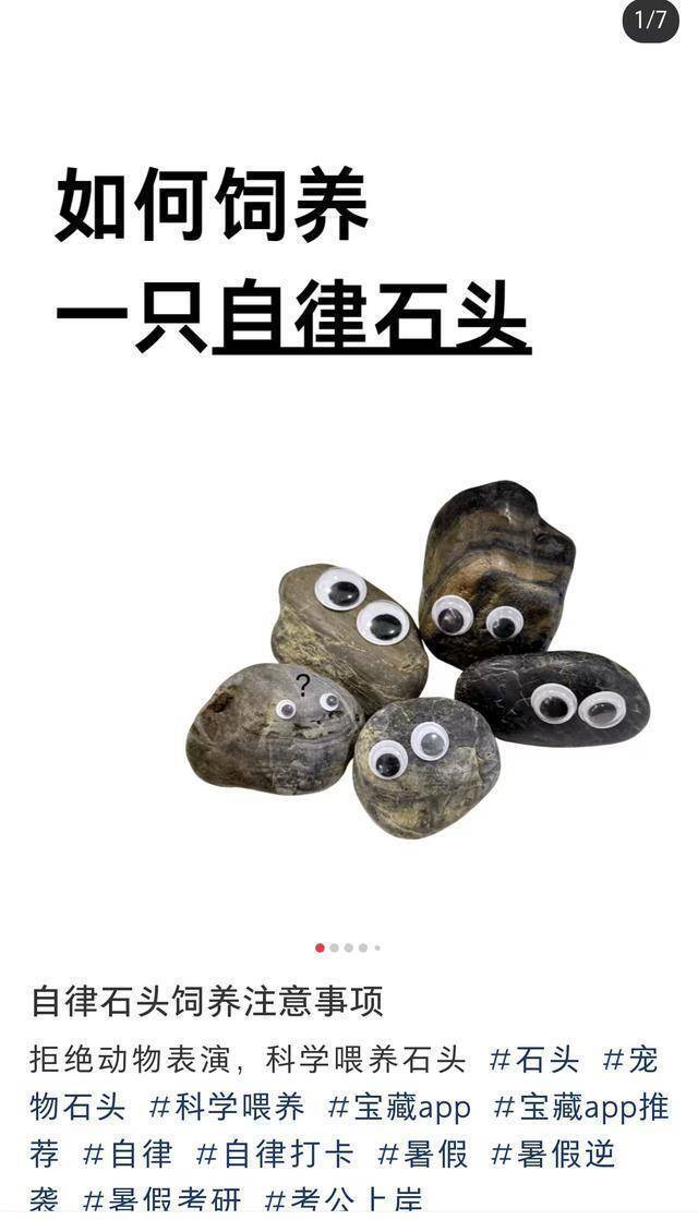 猫狗不香了?这届年轻人开始养宠物石头了!网友:不会吵闹,性价比高 猫狗不香了?这届年轻人开始养宠物石头了!网友:不会吵闹,性价比高