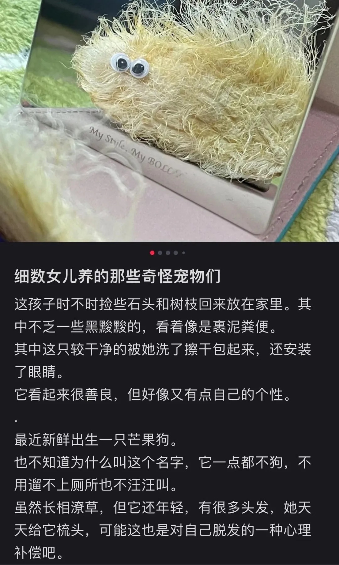 “我姓石”，你养我吗？